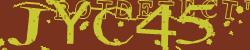 Enter Captcha