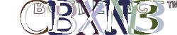 Enter Captcha